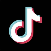 TikTok Icon
